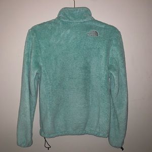 Baby Blue Teddy Bear North Face